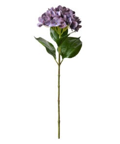 ΛΟΥΛΟΥΔΙ ΜΩΒ ΟΡΧΙΔΕΑ Clayre & Eef – 5PL0137LPA