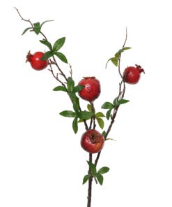 ΚΛΑΔΙ ΜΕ ΡΟΔΙΑ Kaemingk – 728946