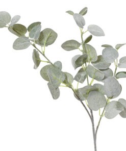 ΚΛΑΔΙ ΕΥΚΑΛΥΠΤΟΣ Kaemingk – 728950